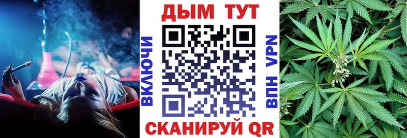 Наркошоп купить Амфетамин  Мефедрон  ГАШИШ  Бошки Шишки  Болотное