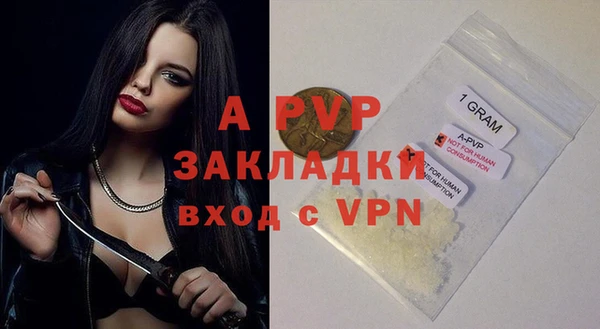 эйфоретик Каменногорск