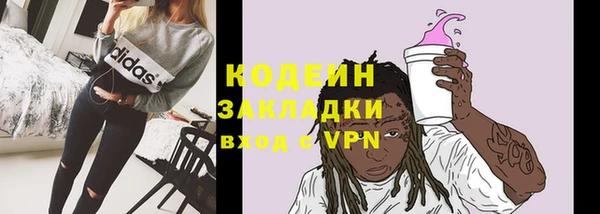 спиды Каменка