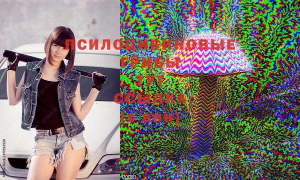 спиды Каменка