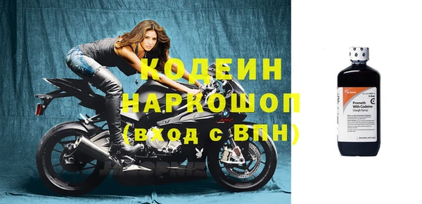 эйфоретик Каменногорск
