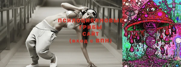 дмт Каменск-Шахтинский