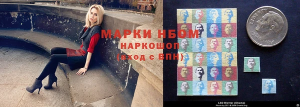 спиды Каменка