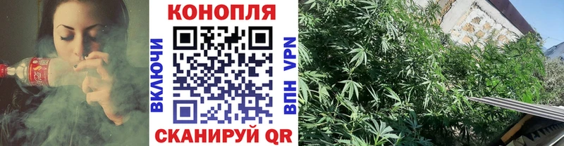 Конопля тримм  Купить закладки  Болотное 